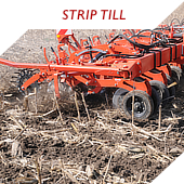 Strip-Till (25)